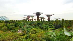 Gardens by the bay