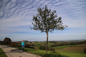 Unterwegs auf der Mosthöhenstraße © Thomas Sbikowski