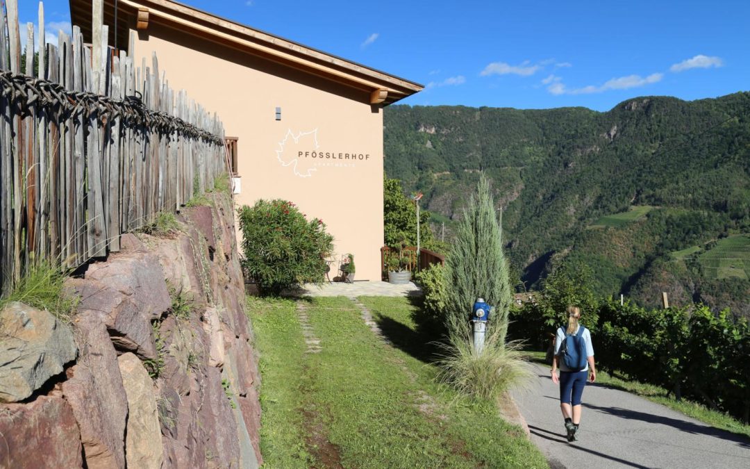 Roter Hahn – Urlaub zwischen Weinreben und Hofleben