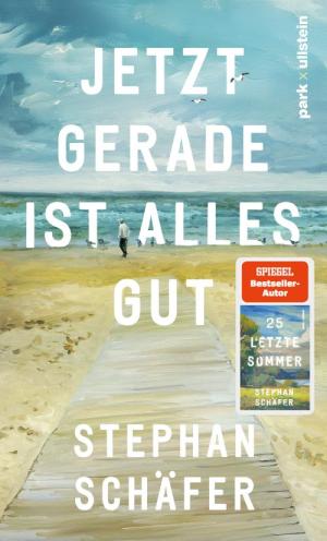 Jetzt gerade ist alles gut von Stephan Schäfer © Ullstein Buchverlage