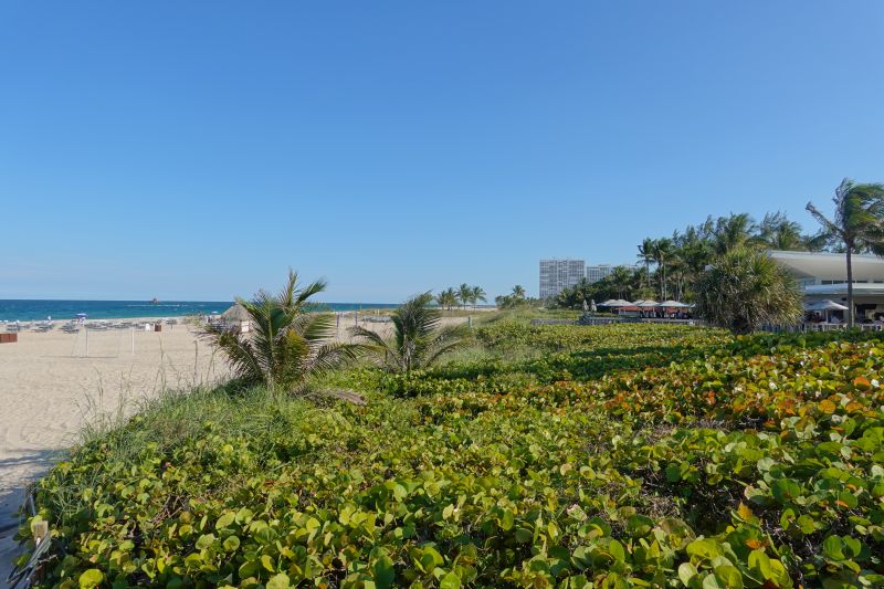 Zu Gast im…: Marriott Harbor Beach Resort & Spa in Fort Lauderdale